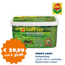 COMPO SAAT - Nachsaat-Rasen gegen Lücken